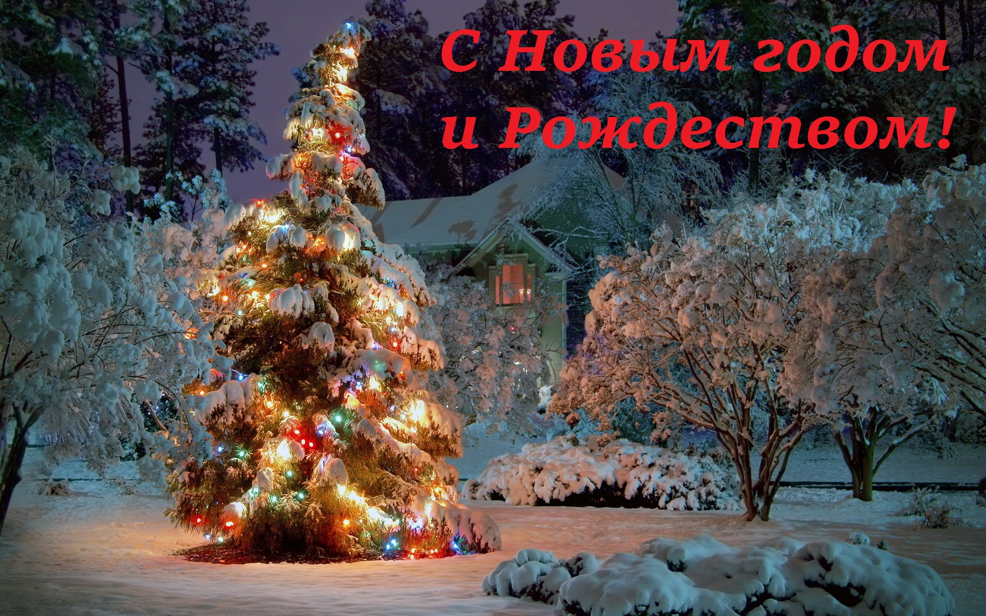 Поздравление С Новым Годом В России Поздравление С Новым Годом В России